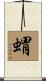 蝟 Scroll