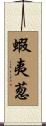 蝦夷葱 Scroll