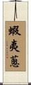 蝦夷蔥 Scroll