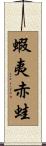 蝦夷赤蛙 Scroll