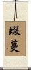 蝦蔓 Scroll