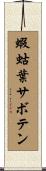 蝦蛄葉サボテン Scroll