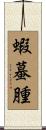 蝦蟇腫 Scroll