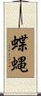 蝶蝿 Scroll