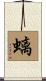 螭 Scroll