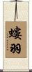 螻羽 Scroll