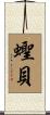 蟶貝 Scroll