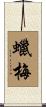 蠟梅 Scroll