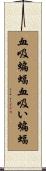 血吸蝙蝠 Scroll