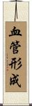 血管形成 Scroll