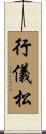 行儀松 Scroll