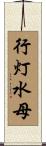 行灯水母 Scroll