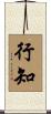 行知 Scroll