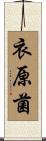 衣原菌 Scroll