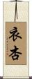 衣杏 Scroll