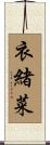 衣緒菜 Scroll