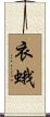 衣蛾 Scroll