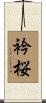 衿桜 Scroll