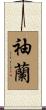 袖蘭 Scroll