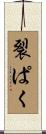 裂ぱく Scroll