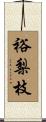 裕梨枝 Scroll