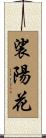 裟陽花 Scroll