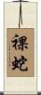 裸蛇 Scroll