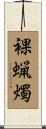 裸蝋燭 Scroll
