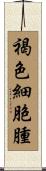褐色細胞腫 Scroll