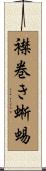襟巻き蜥蜴 Scroll