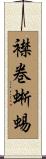 襟巻蜥蜴 Scroll