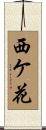 西ケ花 Scroll