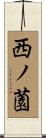 西ノ薗 Scroll
