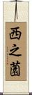 西之薗 Scroll