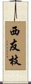 西友枝 Scroll
