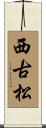 西古松 Scroll