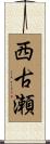 西古瀬 Scroll