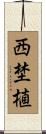 西埜植 Scroll
