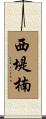 西堤楠 Scroll