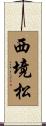 西境松 Scroll