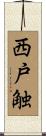 西戸触 Scroll