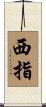 西指 Scroll