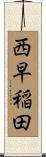 西早稲田 Scroll