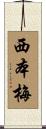 西本梅 Scroll