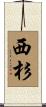 西杉 Scroll