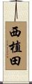 西植田 Scroll
