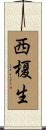 西榎生 Scroll