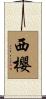 西櫻 Scroll