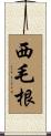 西毛根 Scroll