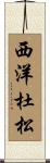 西洋杜松 Scroll